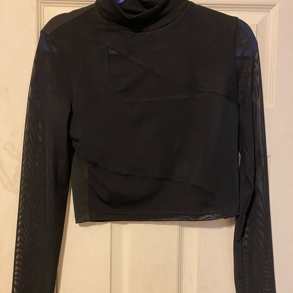 Cider Black Sheer Sleeve Crop Top